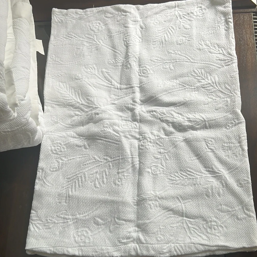 Southern Living Ava Floral Jacquard Comforter Mini Set